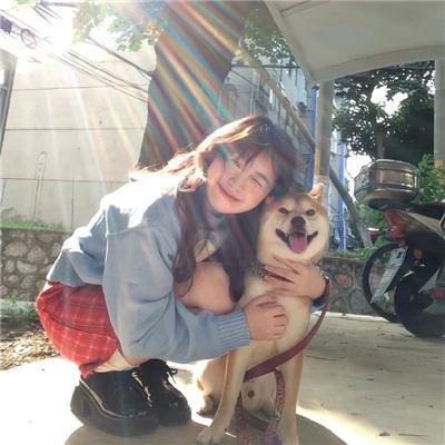 牢笼的熊